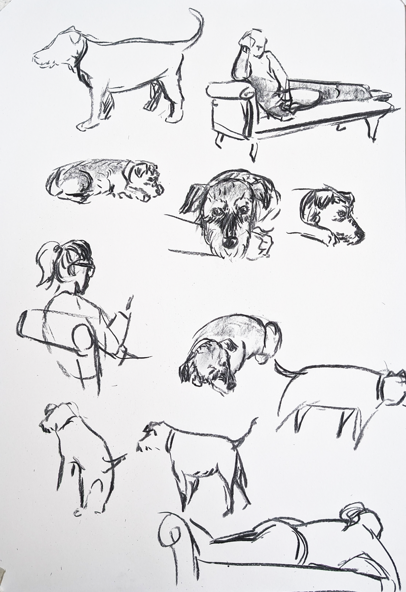 Untitled Untitled